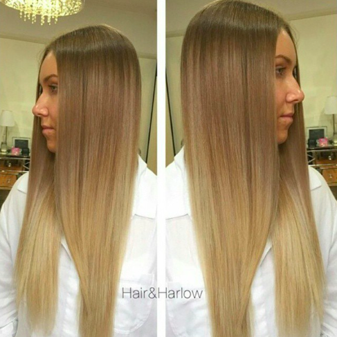 Seamless Transition Using Olaplex by Mikayla Zutovich