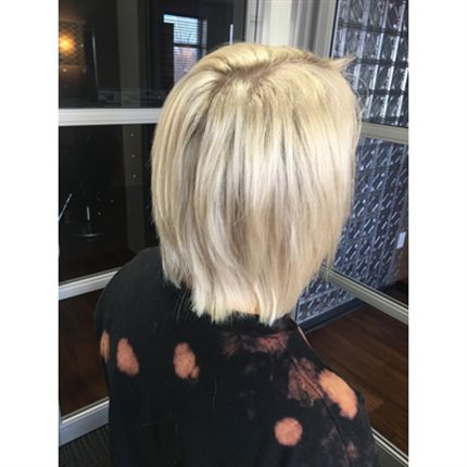 Before Smoky Shadow Bob