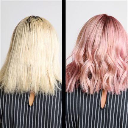 Pastel Pink Rose - Matrix