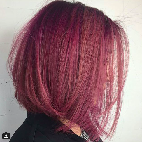 Dusty Violet Rose