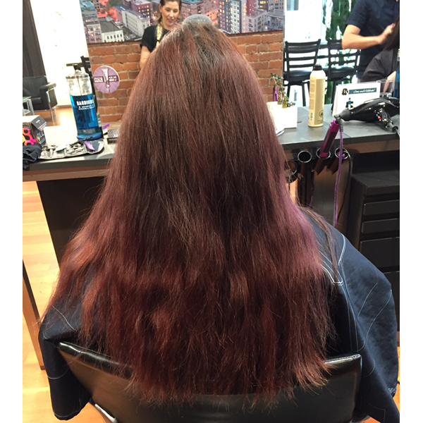 rich-purple-balayage-julia-salemi-3