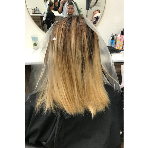 rooty-blonde-color-melt-gabrielle-harned-1