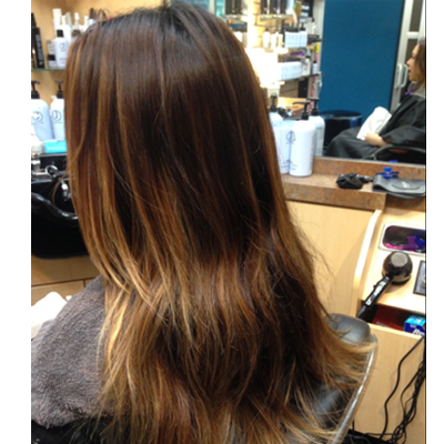 Before Hair Painting; Dimensional Chestnut