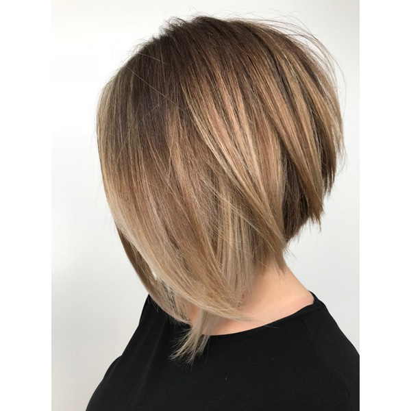 Golden Honey Hue Using Redken Color Gels and Shades EQ