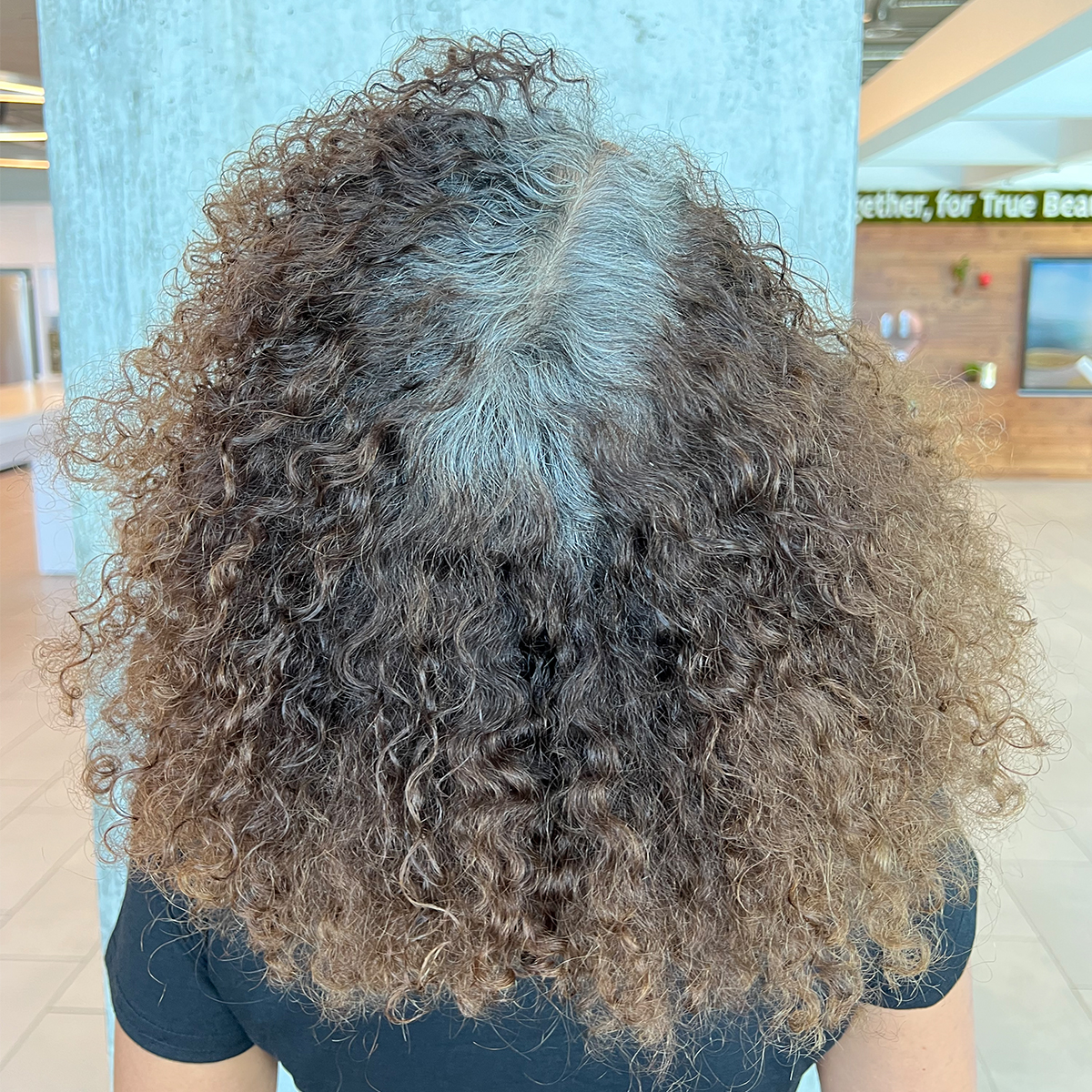 alwyndigshair-skp-formula-6