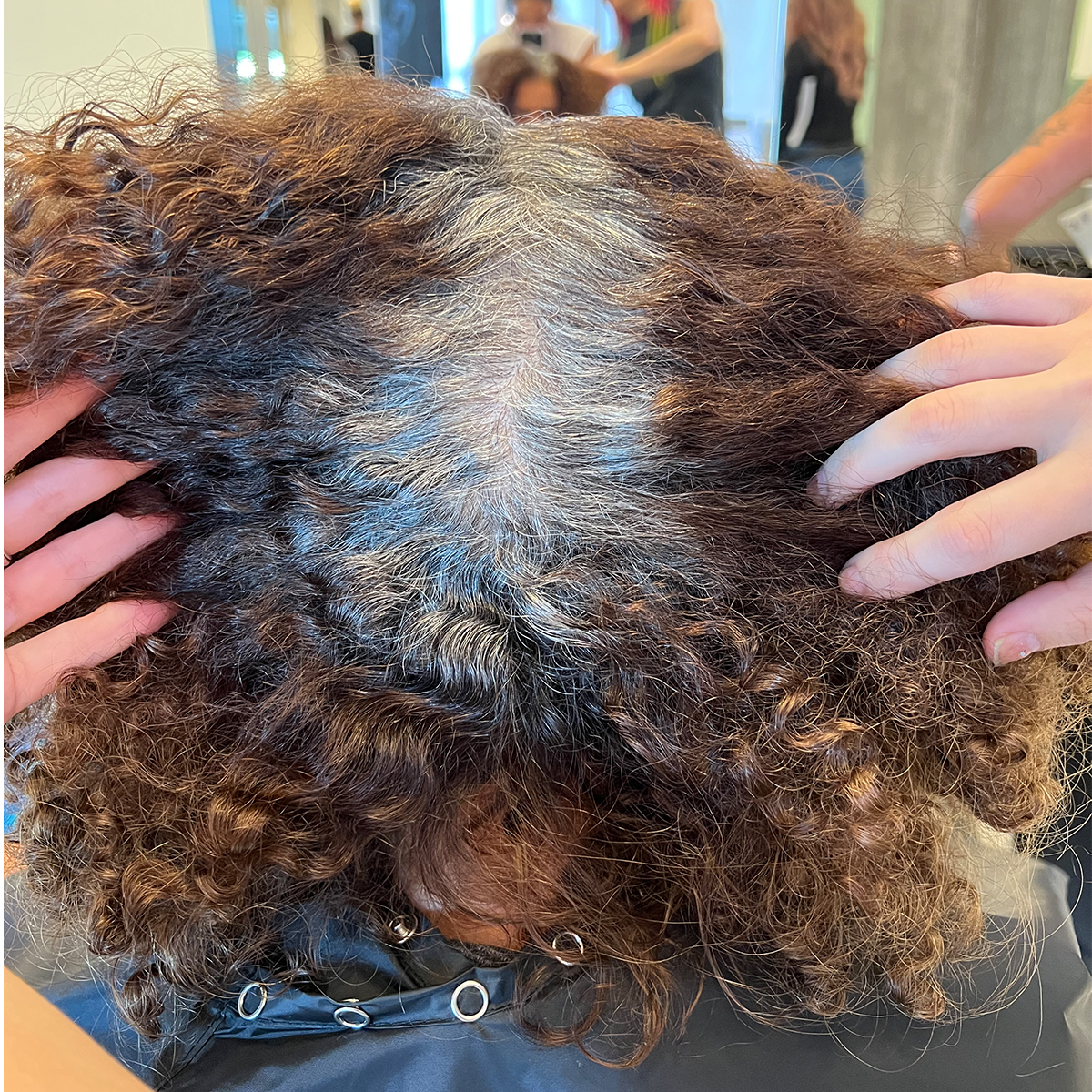 alwyndigshair-skp-formula-8