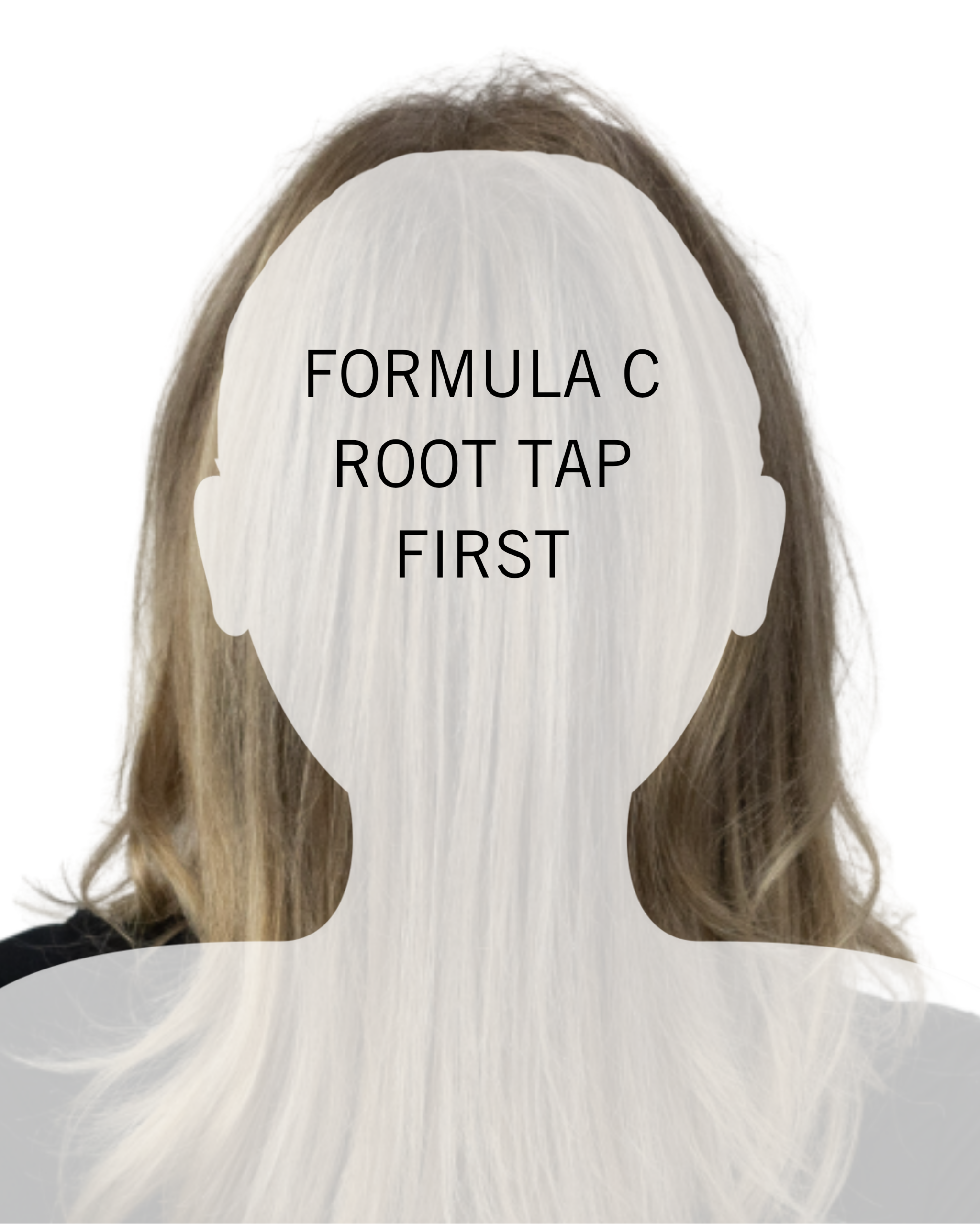 A back-view diagram of a model with a translucent white overlay covering the crown and mid-lengths of the hair. The text "FORMULA C ROOT TAP FIRST" is centered over the overlay, indicating that this formula should be applied to the back and top sections of the root area before moving to the front.