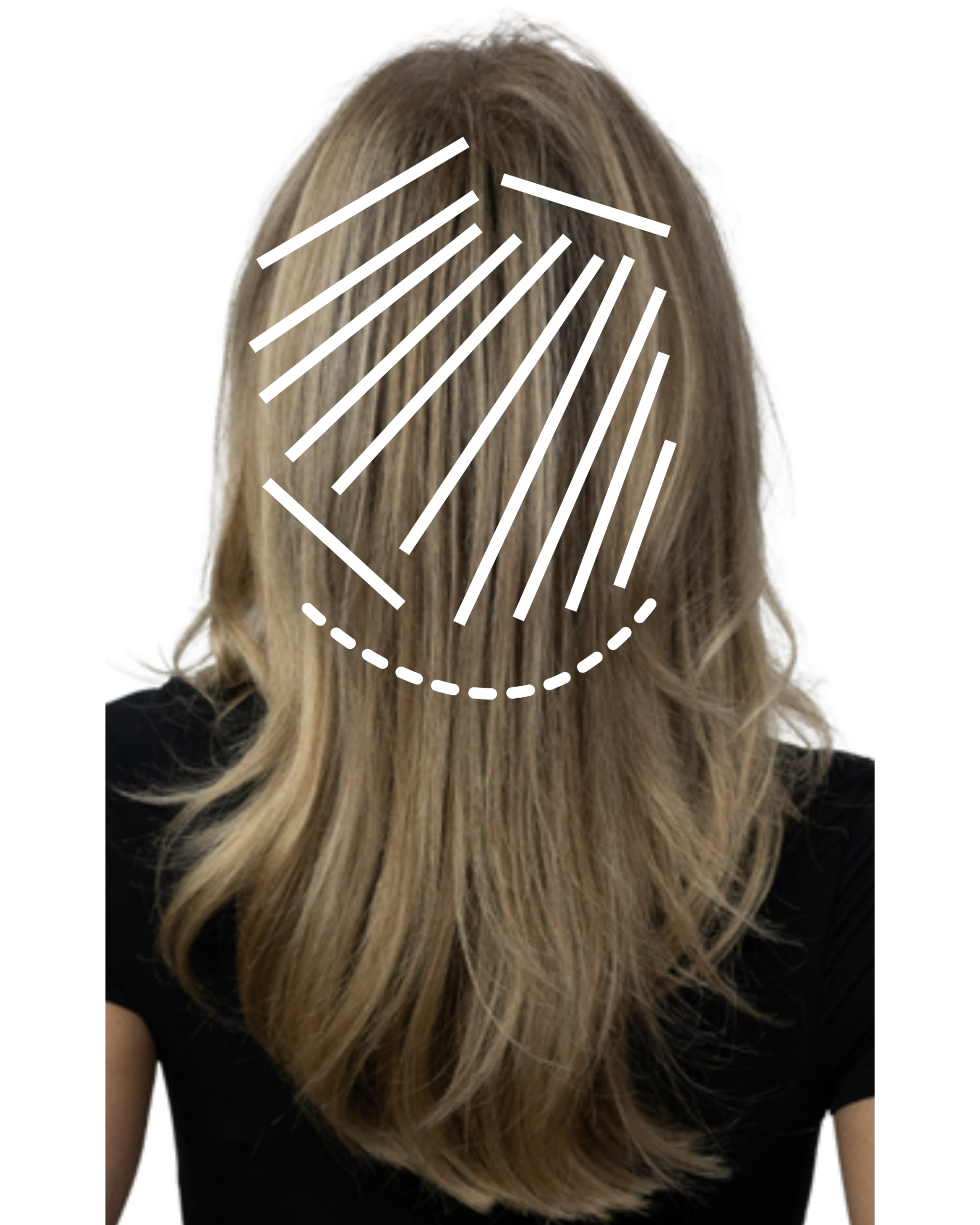 A diagram showing the back of a model's head with white lines indicating a diagonal-forward foil placement starting from the nape and moving upward toward the crown
